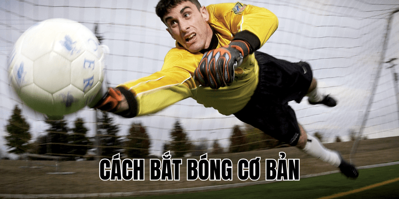 Cách Bắt Bóng Cơ Bản