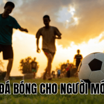 Cách Đá Bóng Cho Người Mới Chơi