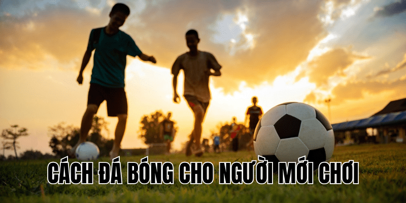 Cách Đá Bóng Cho Người Mới Chơi