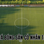 Cách Đá Bóng Sân Cỏ Nhân Tạo Hay