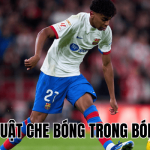 Kỹ Thuật Che Bóng Trong Bóng Đá