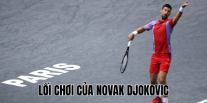 Lối Chơi Của Novak Djokovic